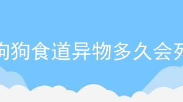狗狗食道异物多久会死