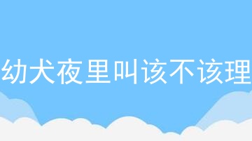 幼犬夜里叫该不该理