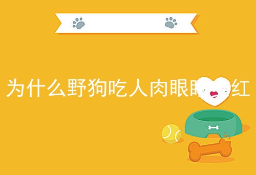 为什么野狗吃人肉眼睛变红