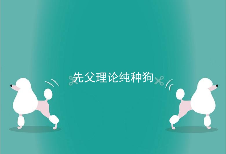 先父理论纯种狗