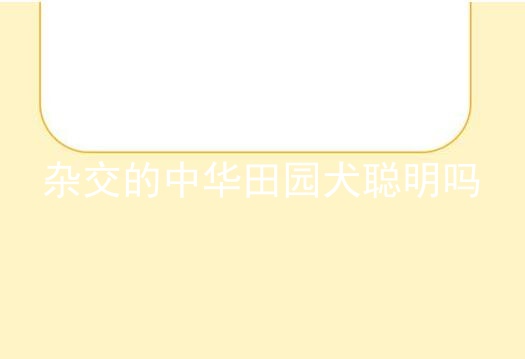 杂交的中华田园犬聪明吗
