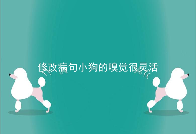 修改病句小狗的嗅觉很灵活