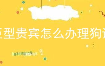 巨型贵宾怎么办理狗证