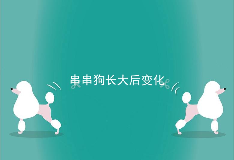 串串狗长大后变化