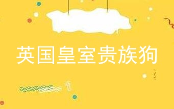 英国皇室贵族狗