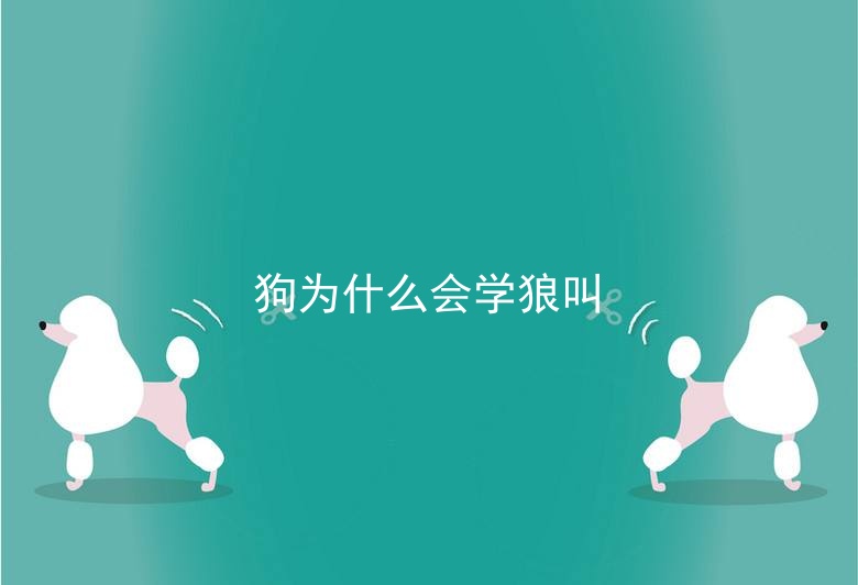 狗为什么会学狼叫