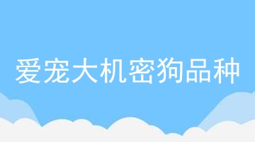 爱宠大机密狗品种