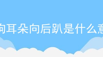小狗耳朵向后趴是什么意思