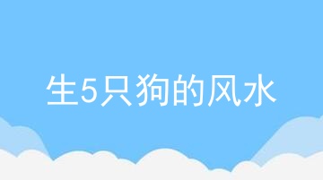 生5只狗的风水