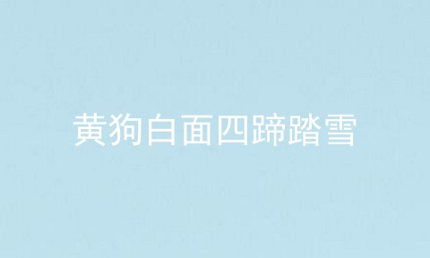 黄狗白面四蹄踏雪
