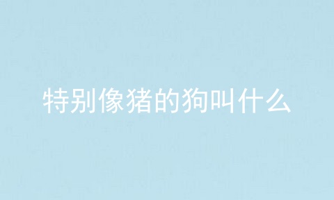 特别像猪的狗叫什么