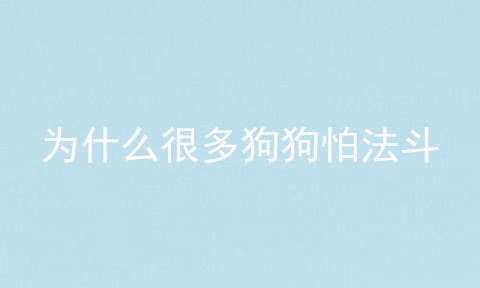 为什么很多狗狗怕法斗