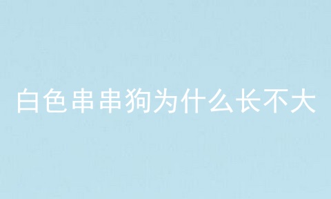 白色串串狗为什么长不大