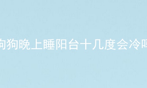 狗狗晚上睡阳台十几度会冷吗