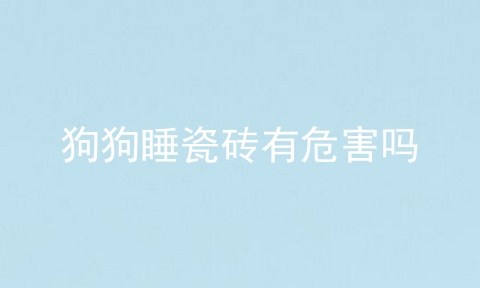 狗狗睡瓷砖有危害吗