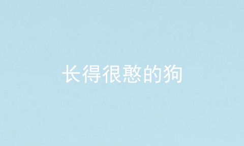 长得很憨的狗