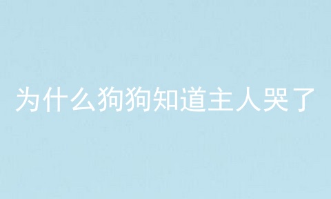 为什么狗狗知道主人哭了