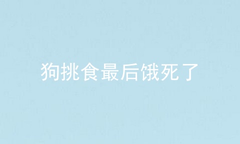 狗挑食最后饿死了