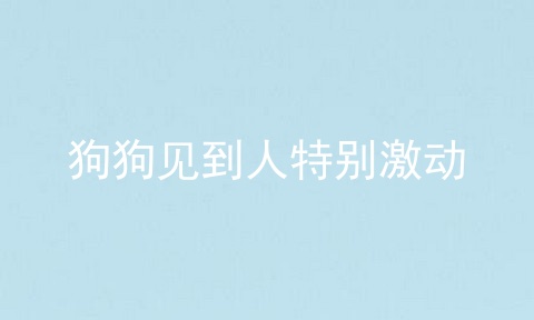 狗狗见到人特别激动