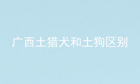 广西土猎犬和土狗区别