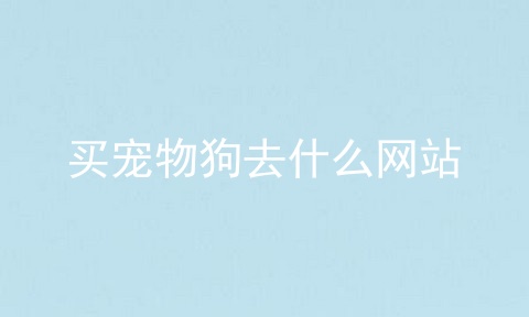 买宠物狗去什么网站