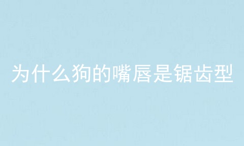 为什么狗的嘴唇是锯齿型