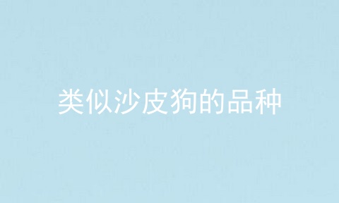 类似沙皮狗的品种