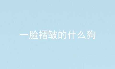一脸褶皱的什么狗