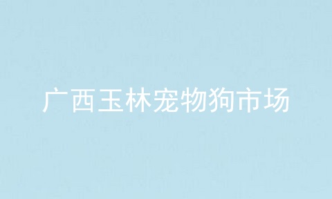 广西玉林宠物狗市场