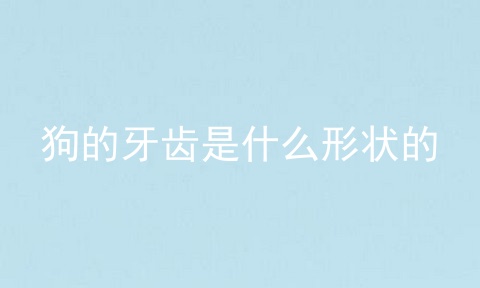 狗的牙齿是什么形状的