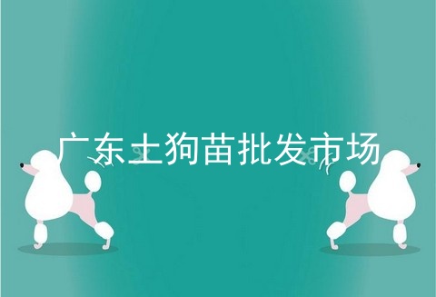 广东土狗苗批发市场