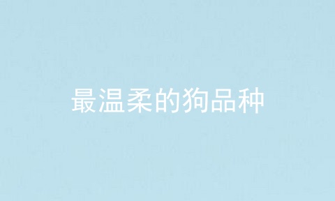 最温柔的狗品种