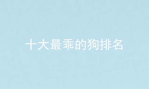 十大最乖的狗排名