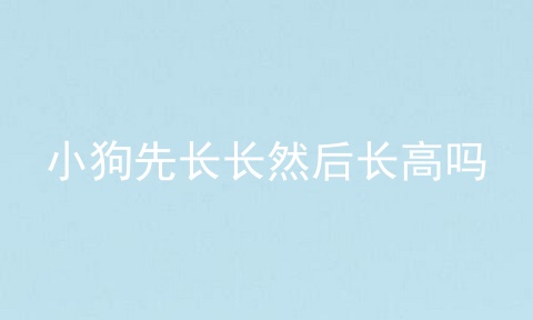 小狗先长长然后长高吗