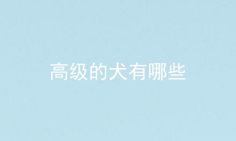 高级的犬有哪些