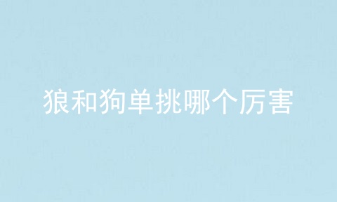 狼和狗单挑哪个厉害