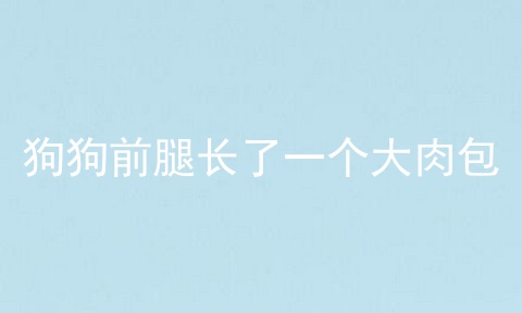 狗狗前腿长了一个大肉包