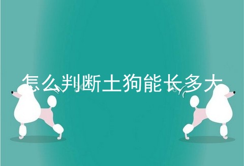 怎么判断土狗能长多大