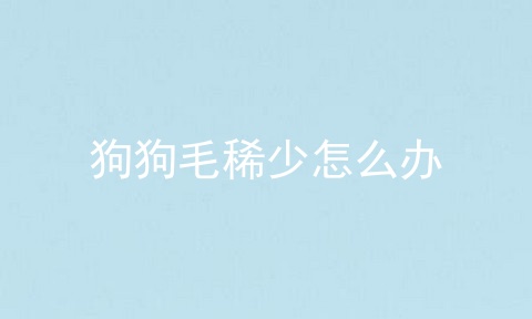 狗狗毛稀少怎么办