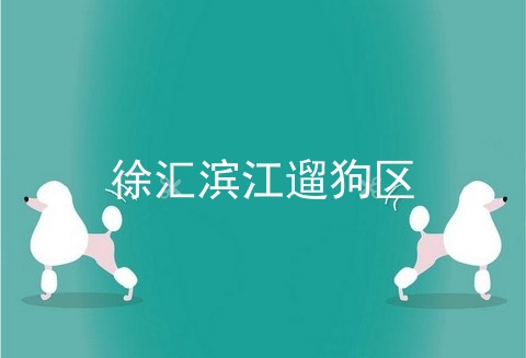 徐汇滨江遛狗区