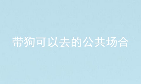 带狗可以去的公共场合