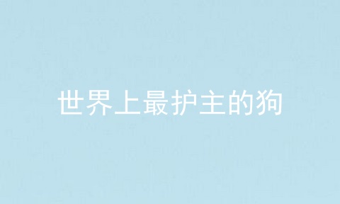 世界上最护主的狗