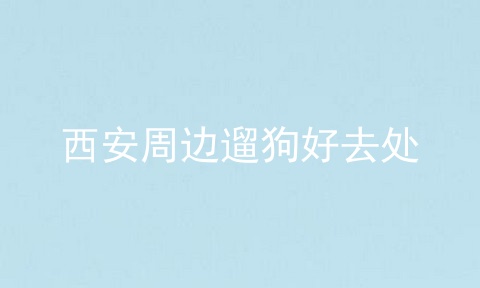西安周边遛狗好去处