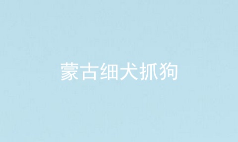 蒙古细犬抓狗