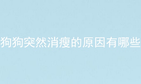 狗狗突然消瘦的原因有哪些