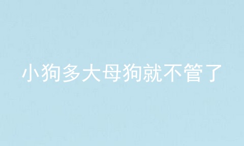 小狗多大母狗就不管了