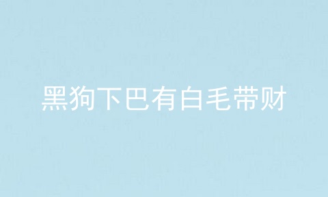 黑狗下巴有白毛带财