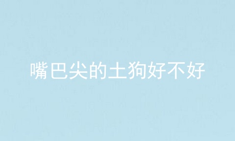 嘴巴尖的土狗好不好
