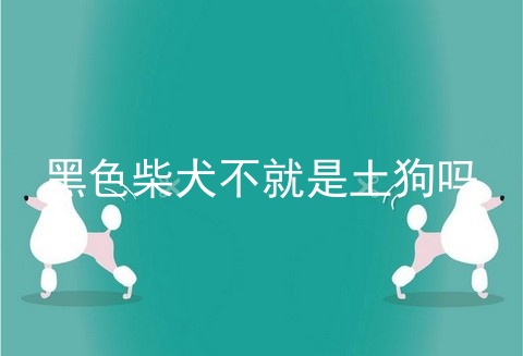 黑色柴犬不就是土狗吗