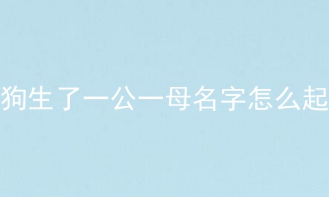 狗生了一公一母名字怎么起